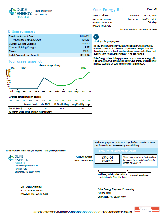 USA Duke Energy utility bill template in Word and PDF formats, version 3